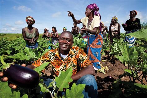 a agricultura em angola